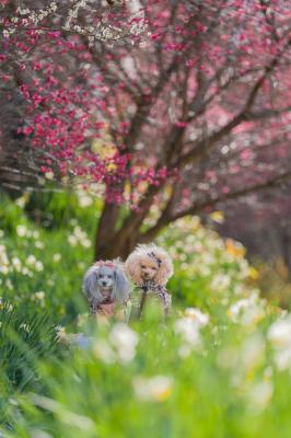 寒さに負けず！綺麗だね‎。