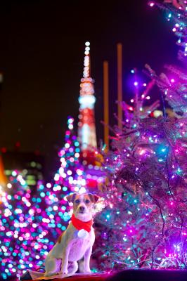 リトル東京タワー