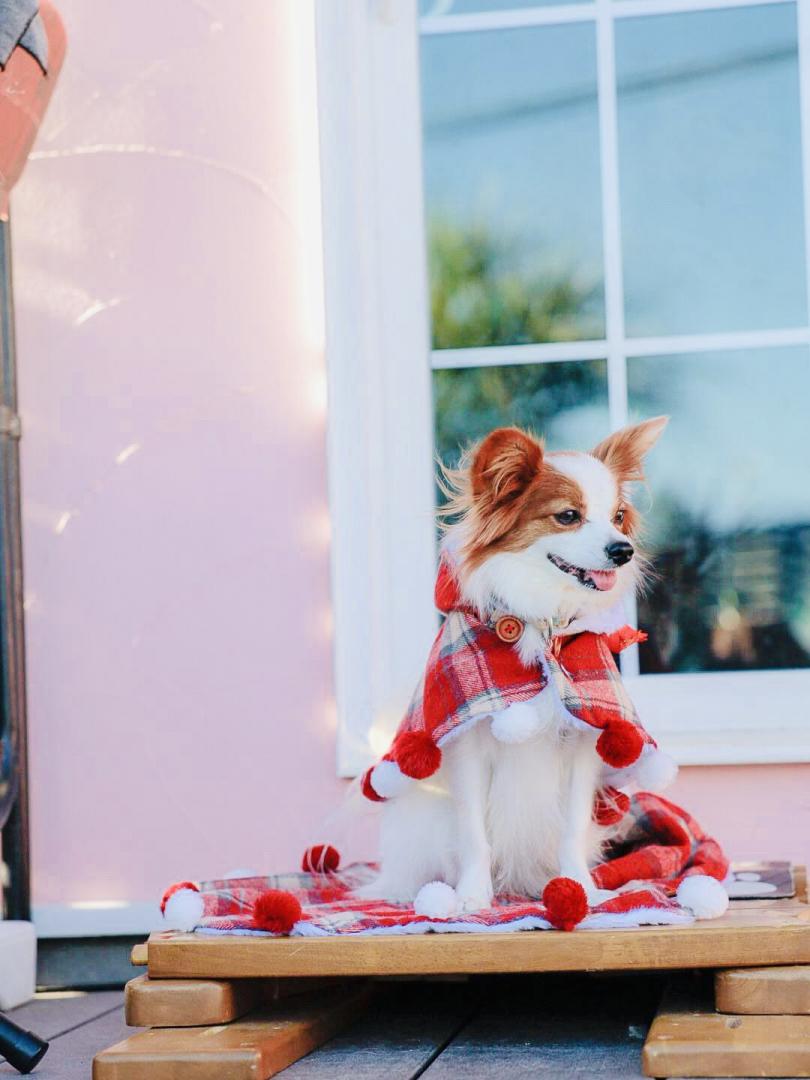 クリスマスポンチョ