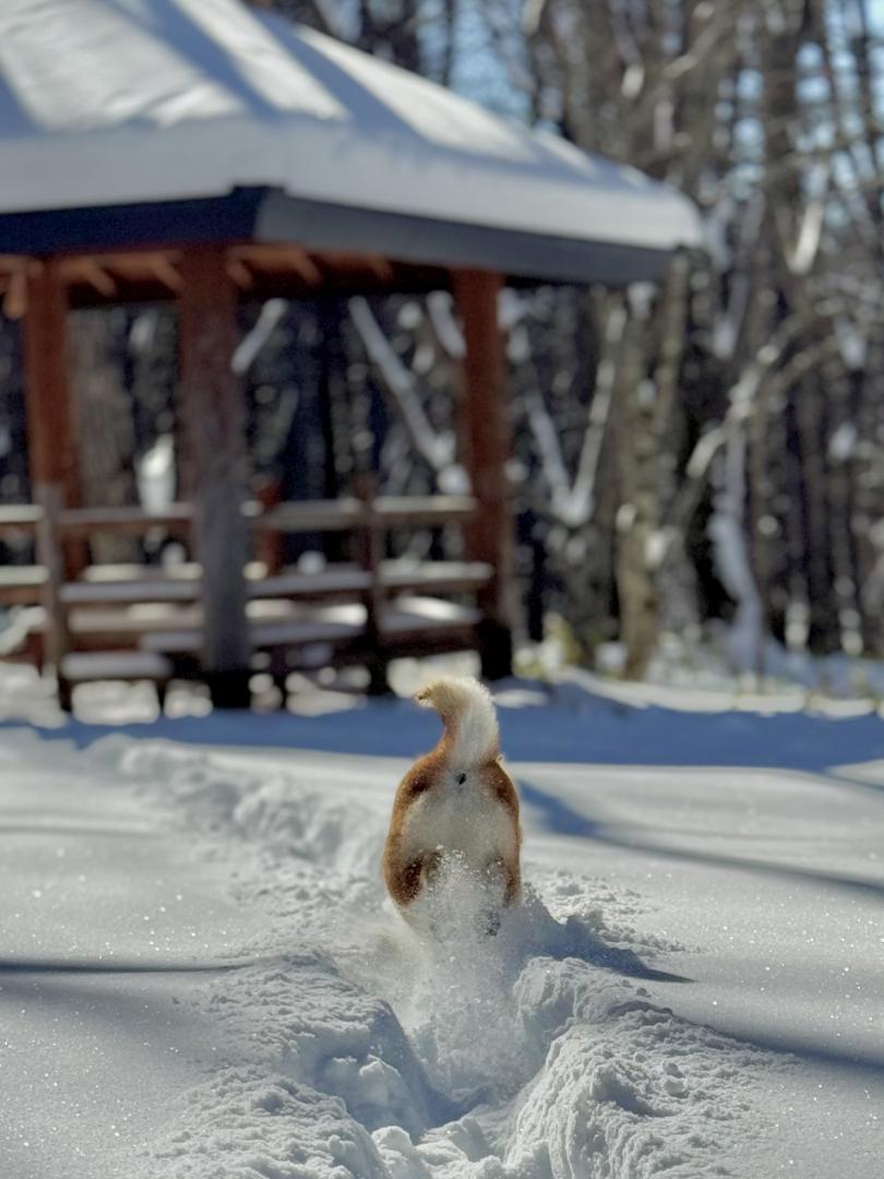 ウキウキのおしり