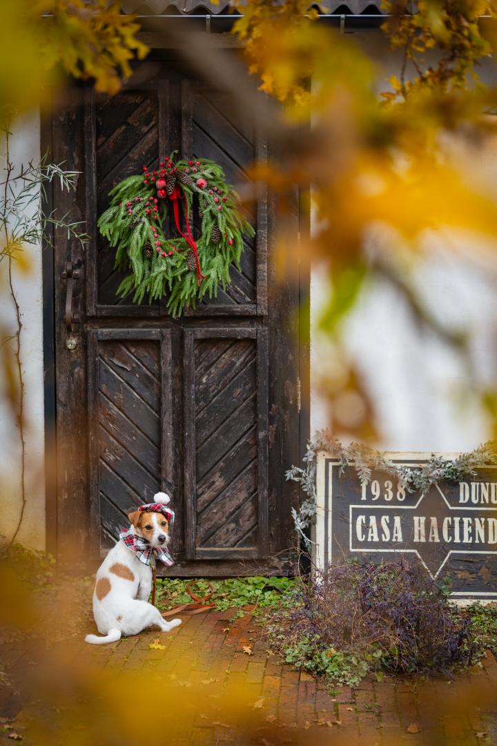 サンタさんはどこ？
