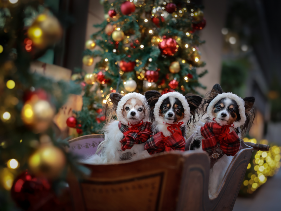 キラキラな街角