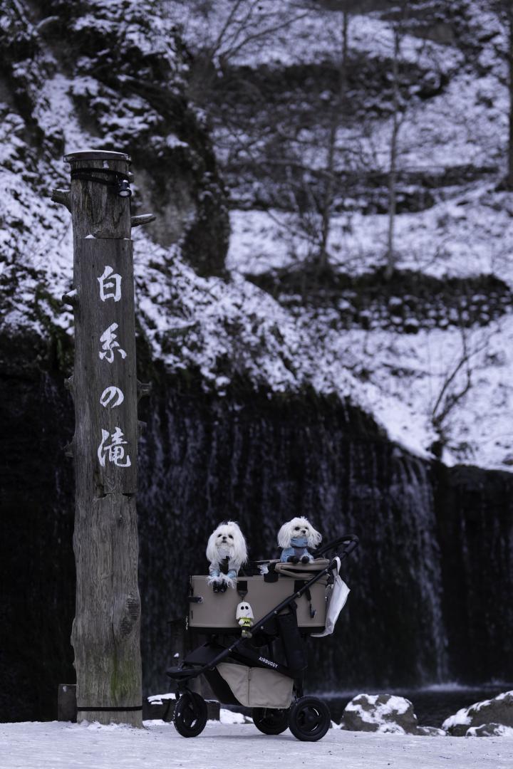 白糸の滝、冬の旅 