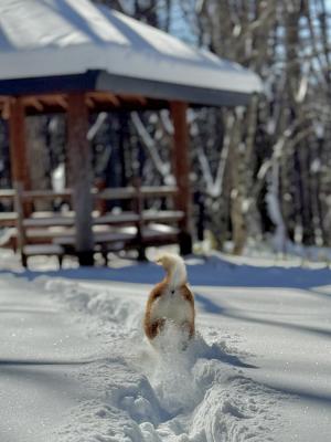 ウキウキのおしり