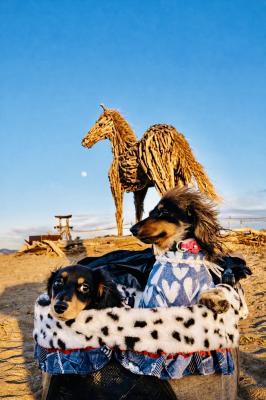 冬の風をまとう