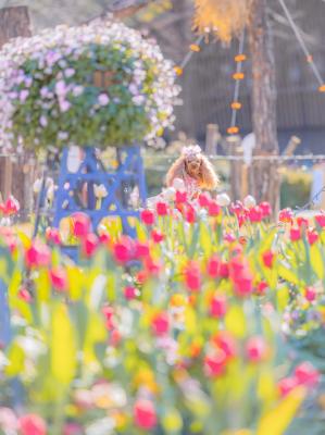 春を先取りアイスチューリップ