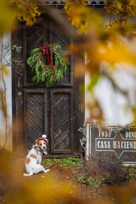 サンタさんはどこ？