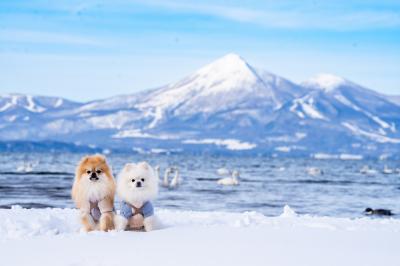 冬の磐梯山と猪苗代湖とイチとコッペ