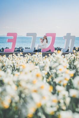 水仙とヨコスカ