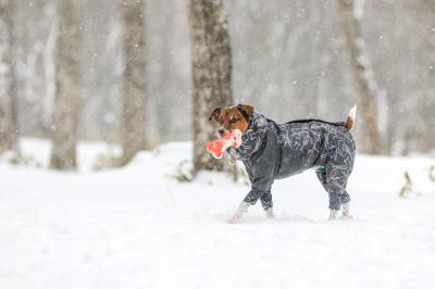 雪遊びは楽しいな