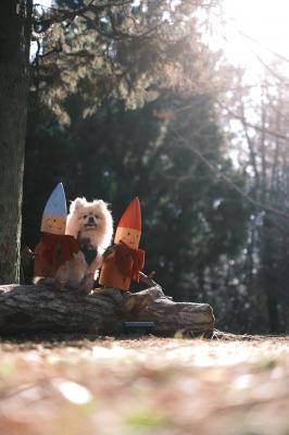 冬のおでかけひとやすみ