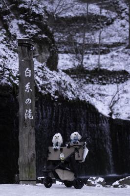 白糸の滝、冬の旅 