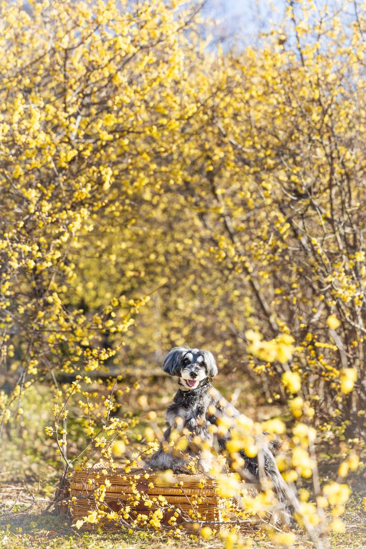 甘い香りに囲まれて