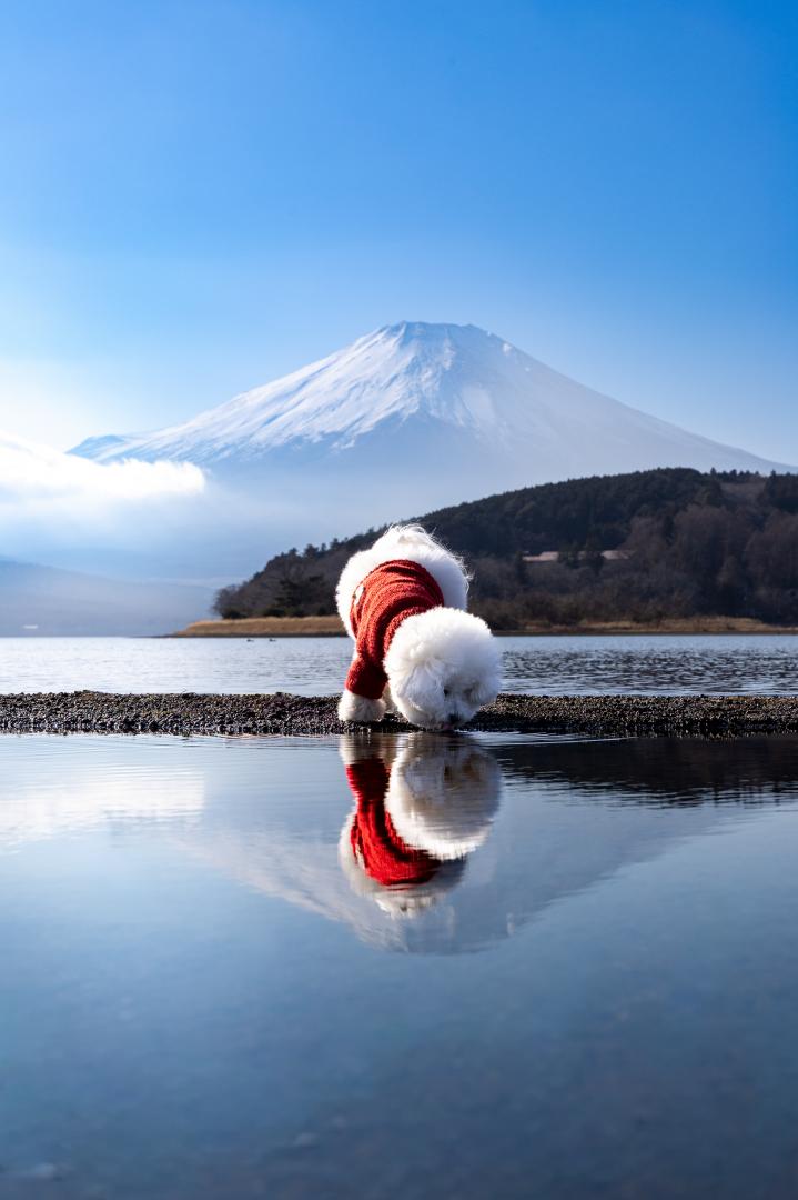 お水飲んじゃった！