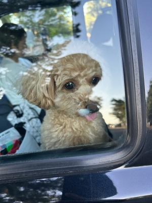 むぎちゃん、綺麗な風景だね！