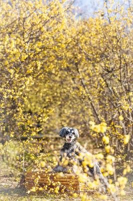 甘い香りに囲まれて