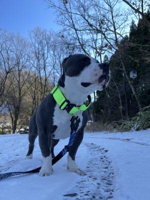 いつもと違う匂い