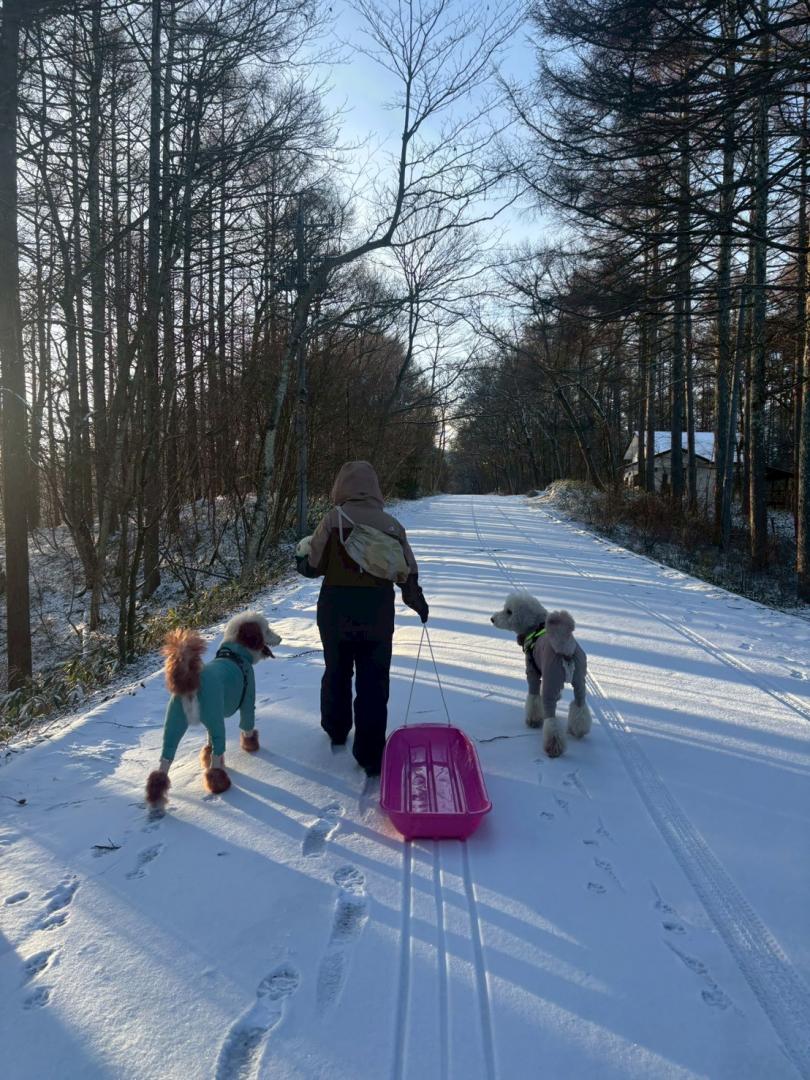 さ～滑りますか‼️