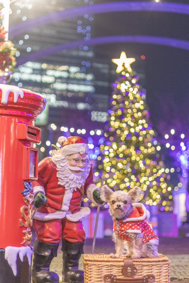 サンタさんと記念撮影
