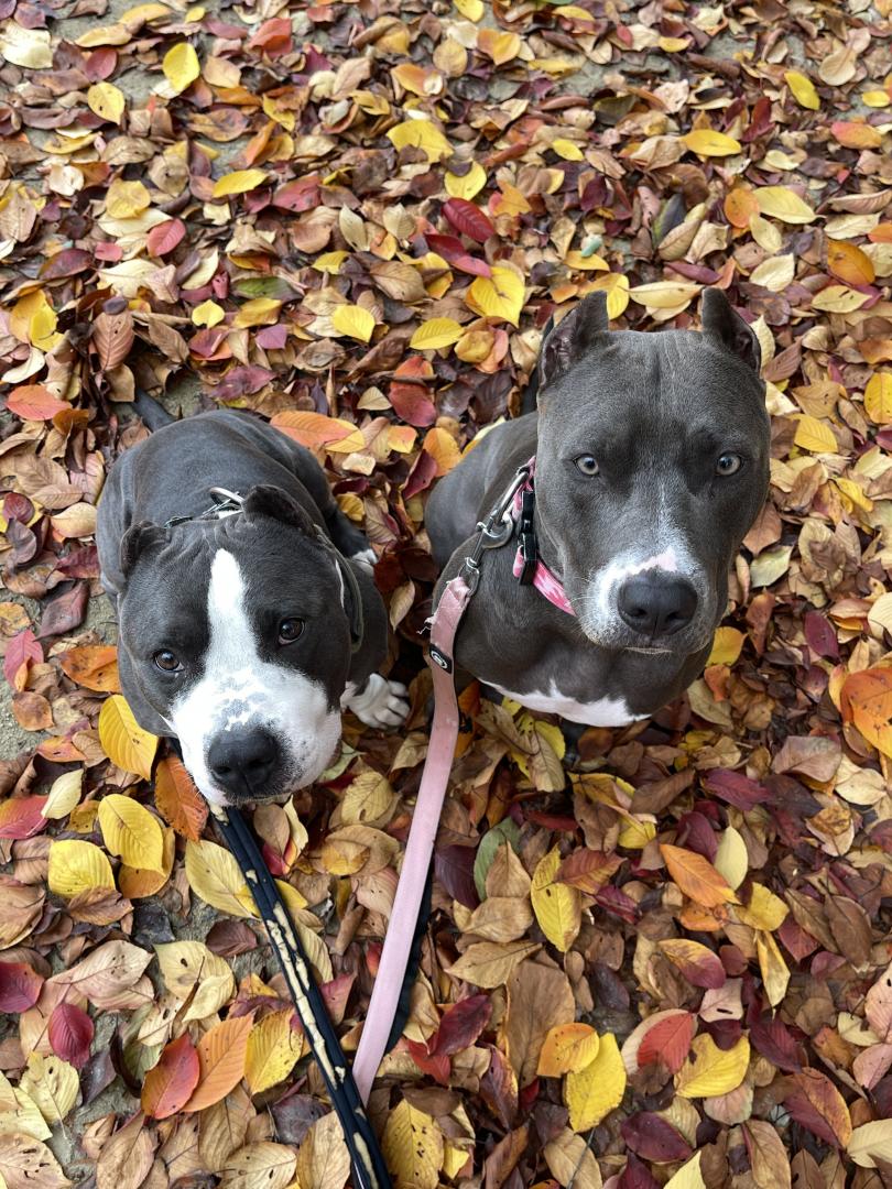 冬はどこいった？