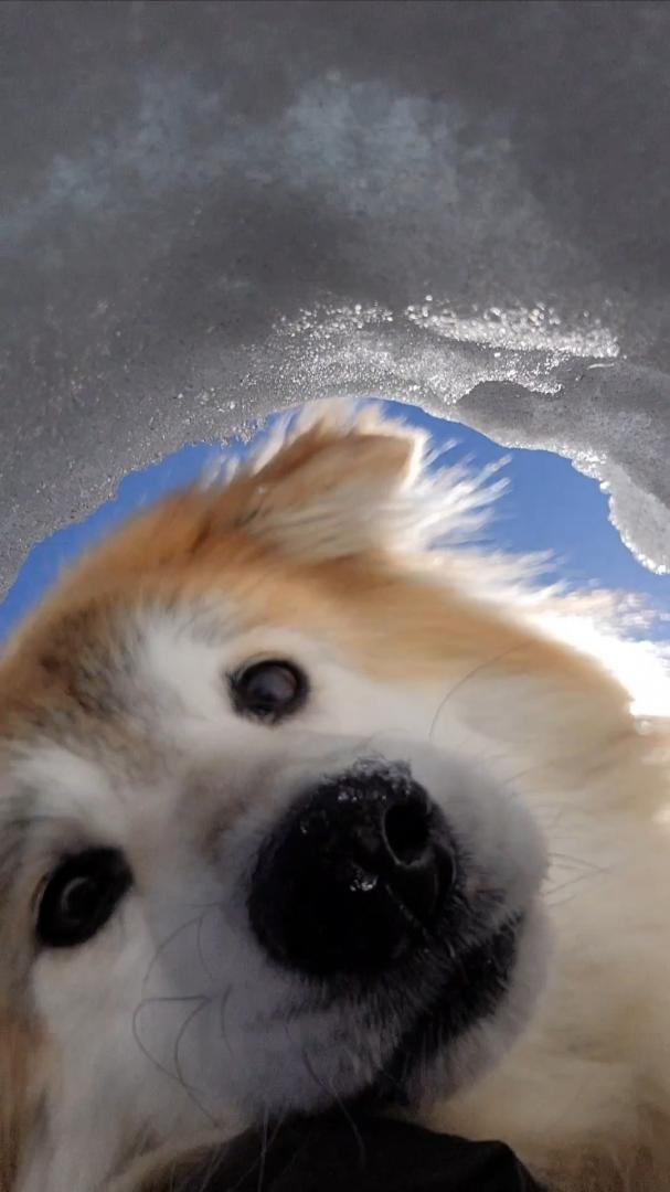 おやつ食べたい