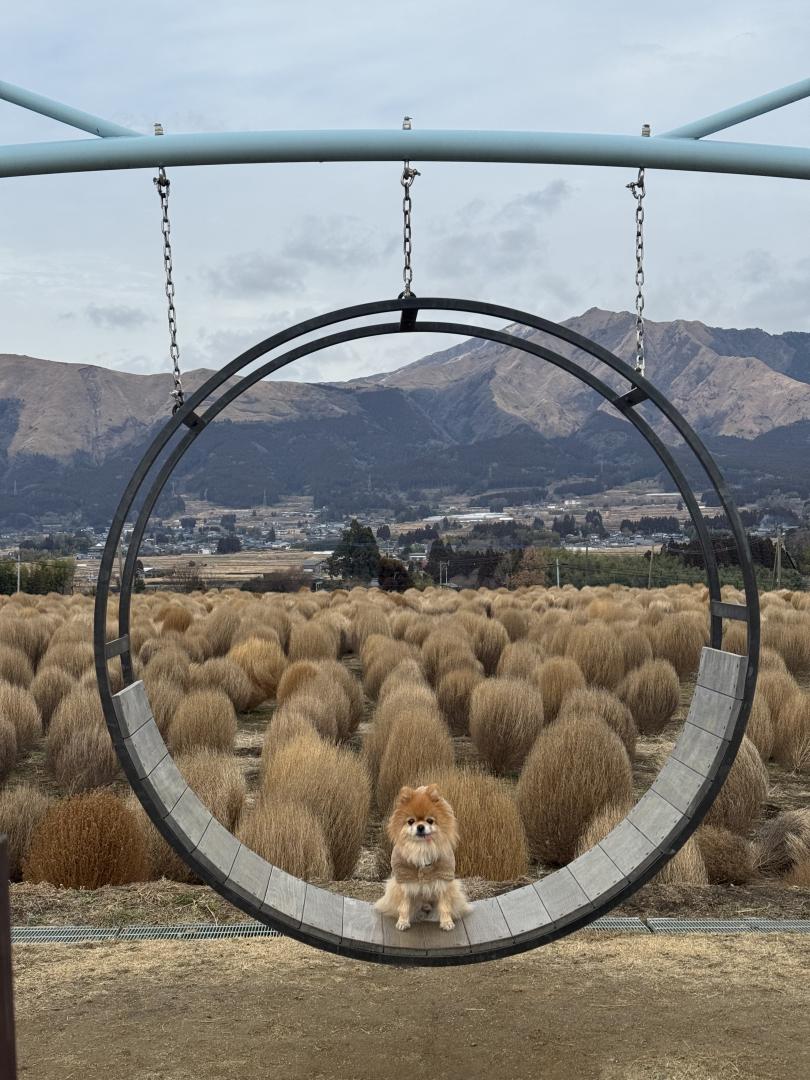 大自然に抱かれて
