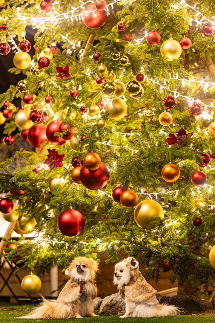 クリスマスの待ち合わせ