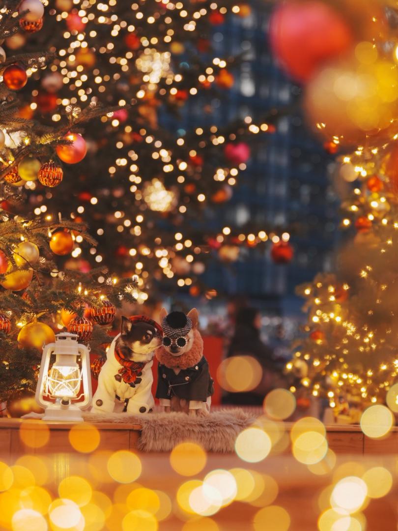 クリスマスのKISS