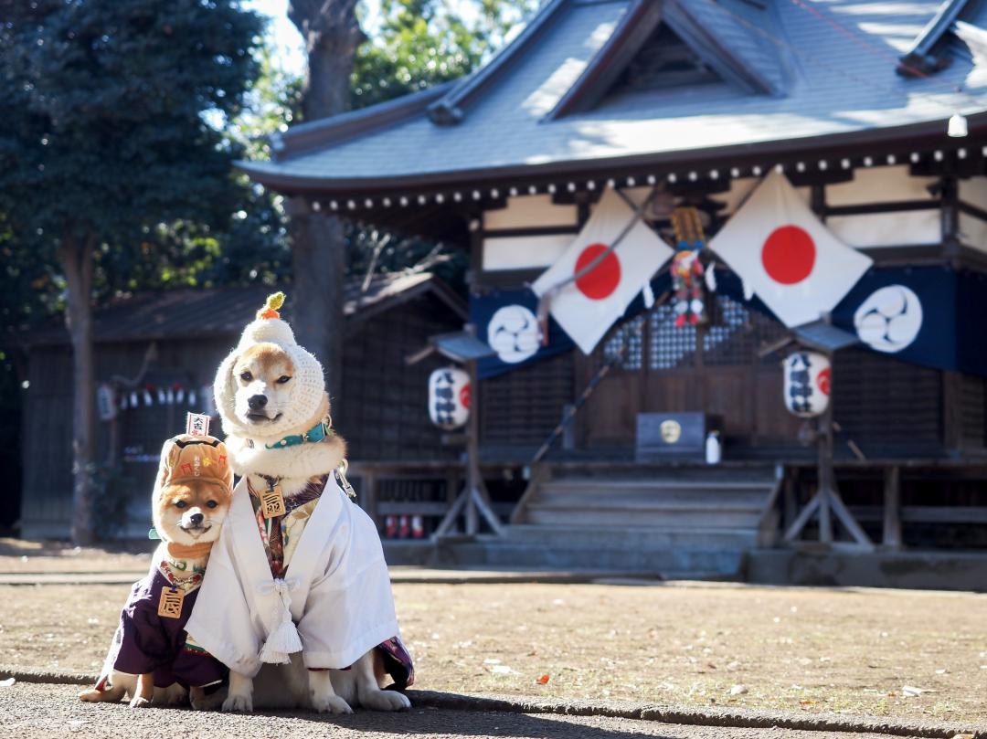ボクたちのモデル初め
