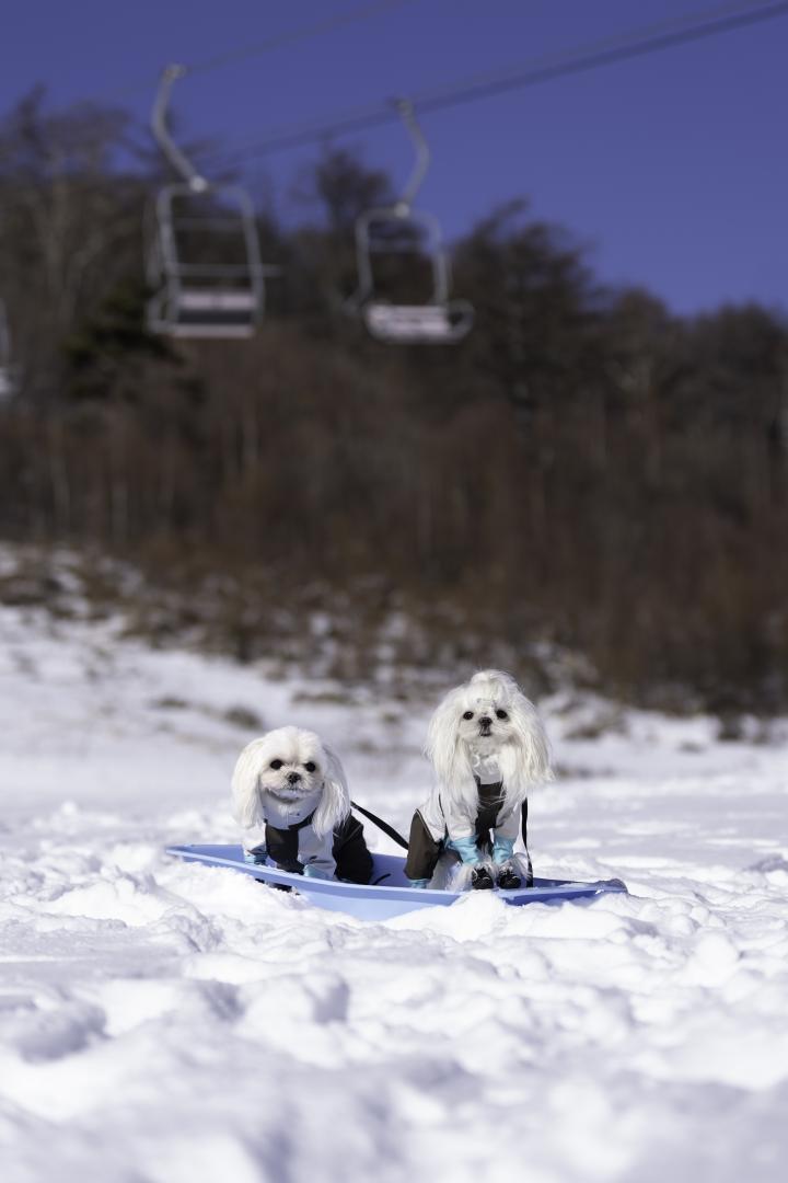 スキー場で迎えた冬の一日