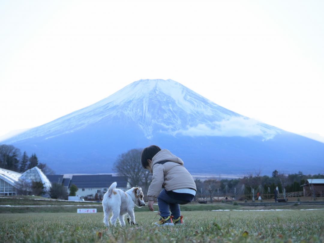 富士山よりおやつ