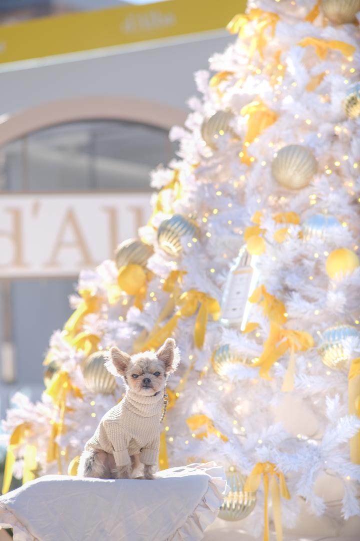 化粧品のポップアップ