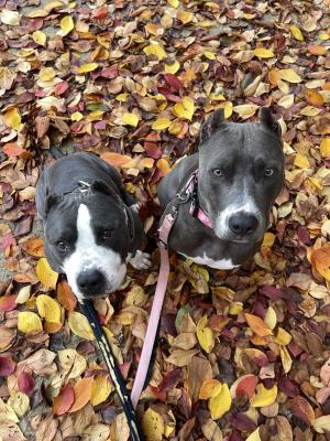 冬はどこいった？