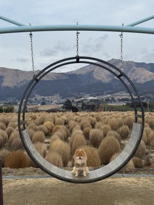 大自然に抱かれて