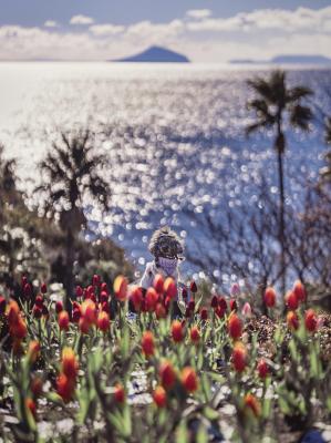 アイスチューリップとキラキラな海