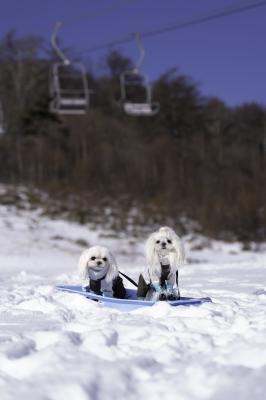 スキー場で迎えた冬の一日
