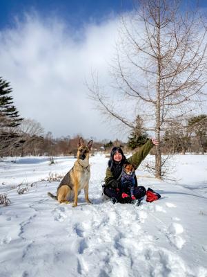 銀世界へようこそ