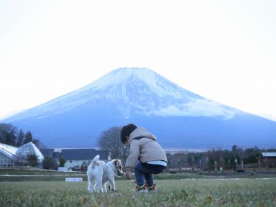 富士山よりおやつ