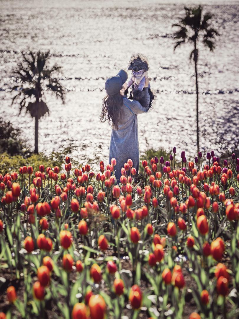 アイスチューリップと海と