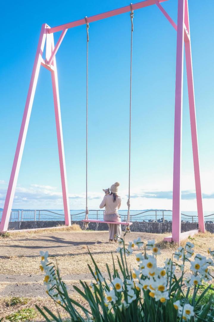 ピンクのドアと