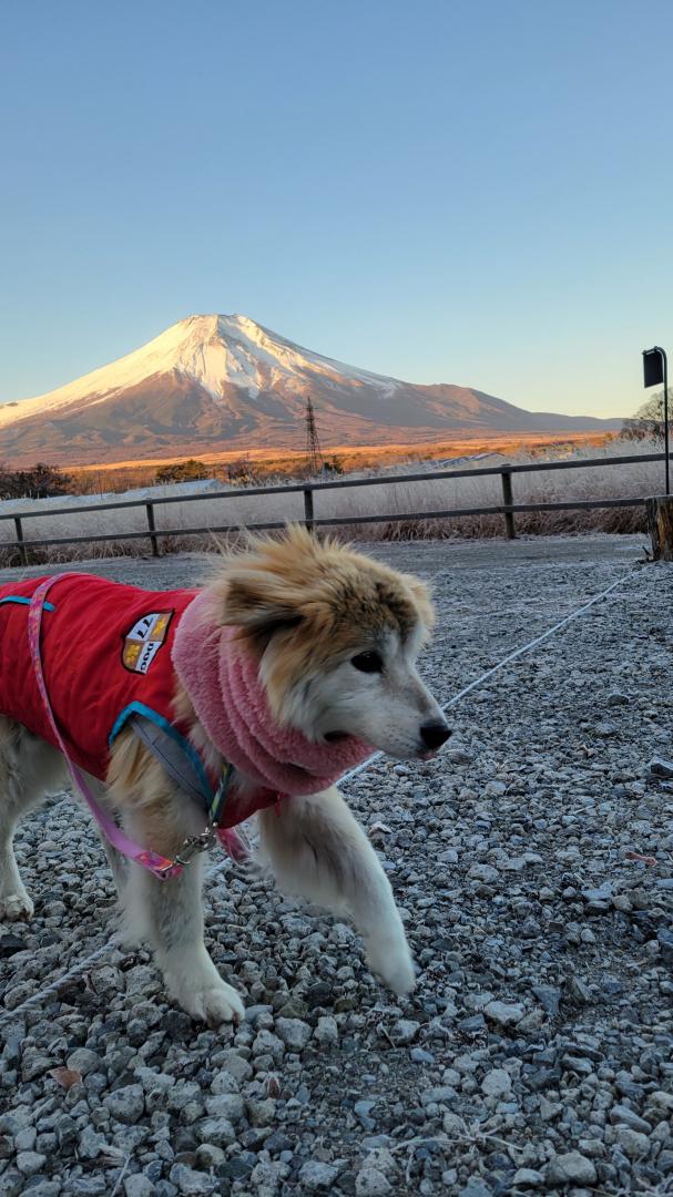 おはよう富士山