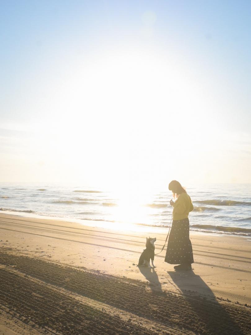 千里浜なぎさドライブウェイ