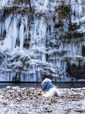 自然ってすごい！