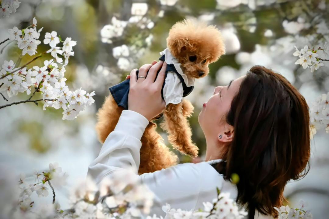 来年も春色一緒に見ようね