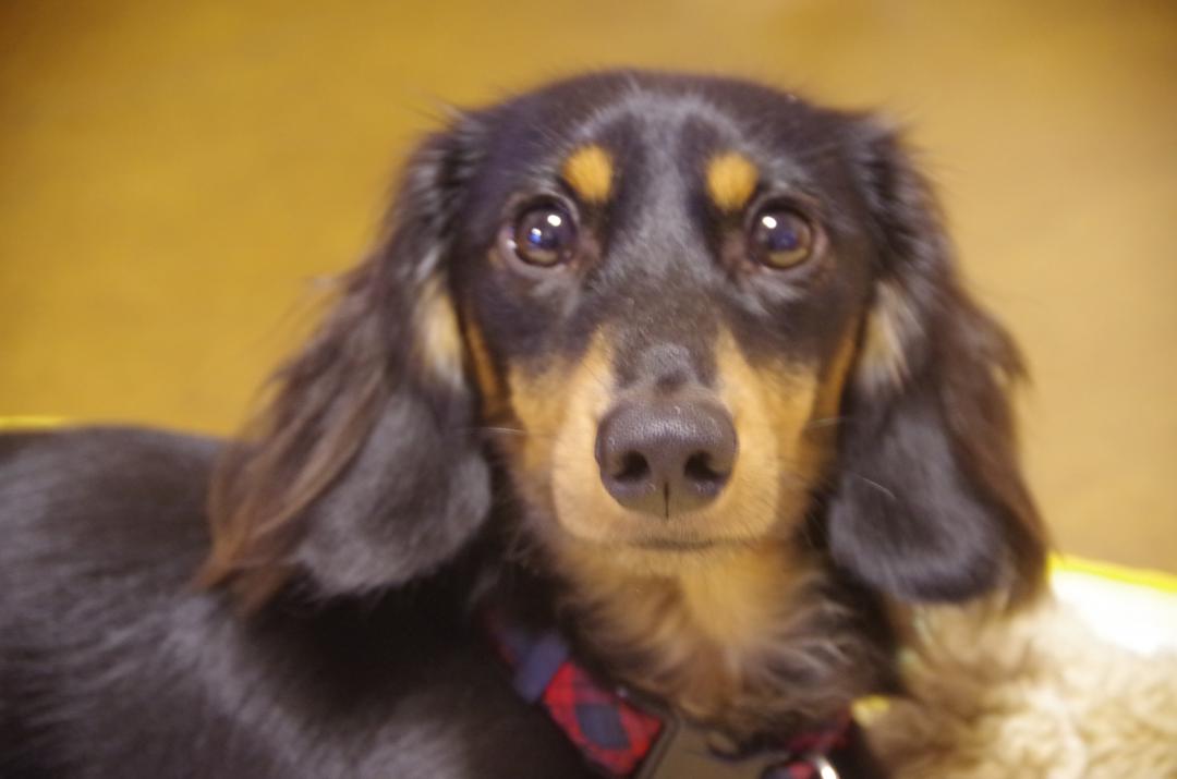 まるちゃんといっしょ