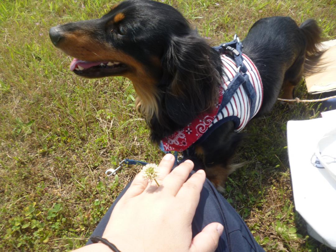 まるちゃんと河原