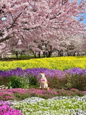 春色満載