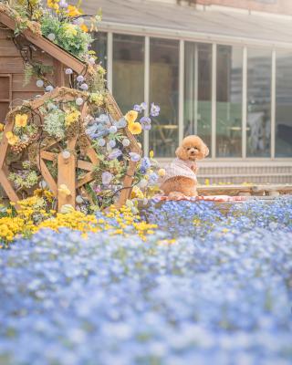 あたちポーズできるよ