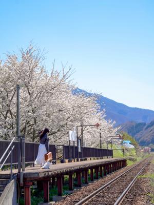 桜と無人駅