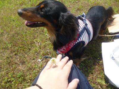 まるちゃんと河原